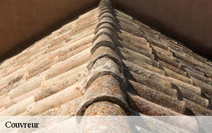 Couvreur 50 Manche GW couvreur 50