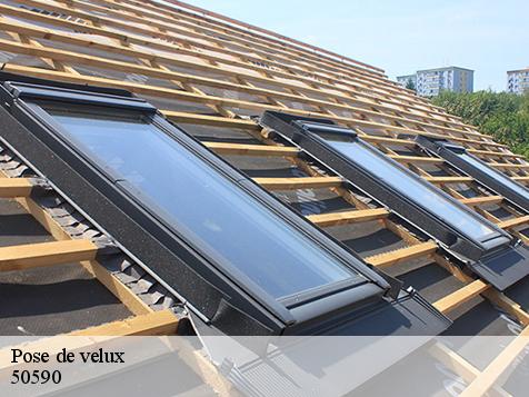 Pose de velux  50590