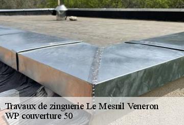 Travaux de zinguerie  le-mesnil-veneron-50620 WP couverture 50