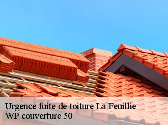 Urgence fuite de toiture  la-feuillie-50190 WP couverture 50