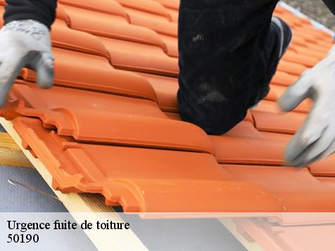 Urgence fuite de toiture  50190