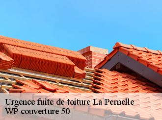 Urgence fuite de toiture  la-pernelle-50630 WP couverture 50