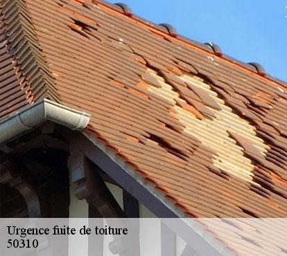 Urgence fuite de toiture 50310