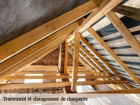 Traitement et changement de charpente