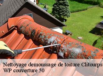 Nettoyage demoussage de toiture  clitourps-50330 WP couverture 50