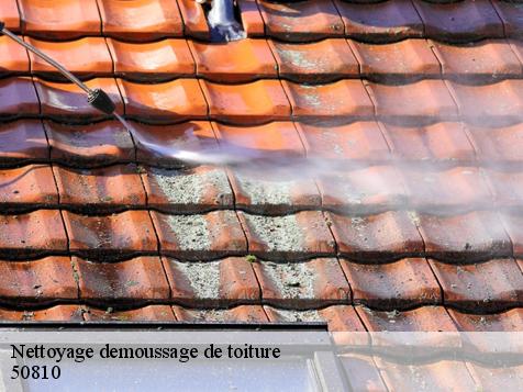 Nettoyage demoussage de toiture  50810