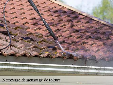 Nettoyage demoussage de toiture