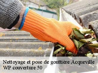 Nettoyage et pose de gouttière  acqueville-50440 WP couverture 50