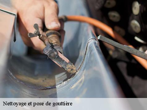 Nettoyage et pose de gouttière