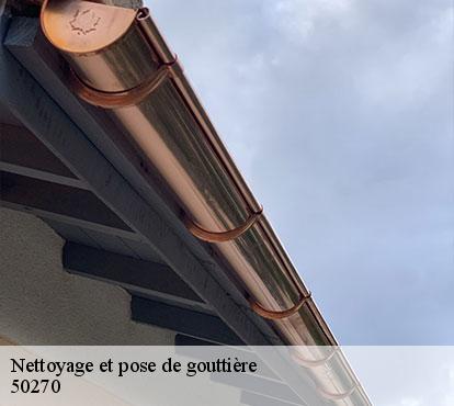 Nettoyage et pose de gouttière 50270