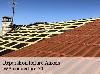 Réparation toiture  auxais-50500 WP couverture 50