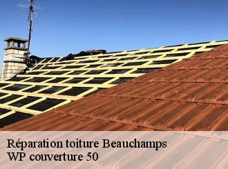 Réparation toiture  beauchamps-50320 WP couverture 50