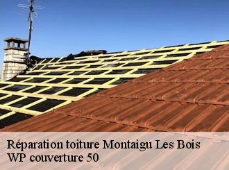 Réparation toiture  montaigu-les-bois-50450 WP couverture 50