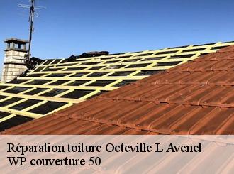 Réparation toiture  octeville-l-avenel-50630 WP couverture 50